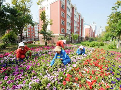 小區保潔（江蘇常州）