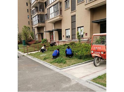 常州小區保潔（佳源廣場小區）